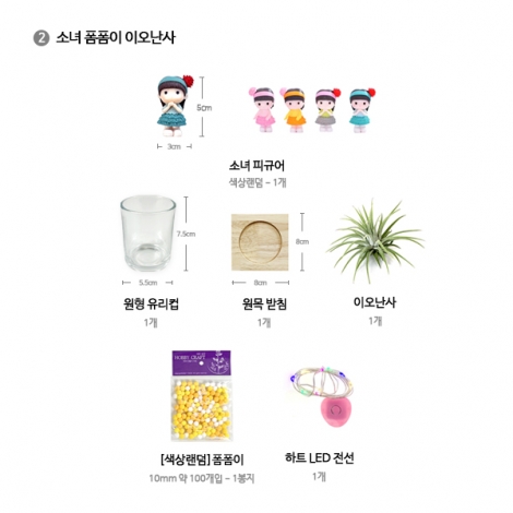 이오난사 글라스 테라리움 만들기 (1인용, 3종 택1)